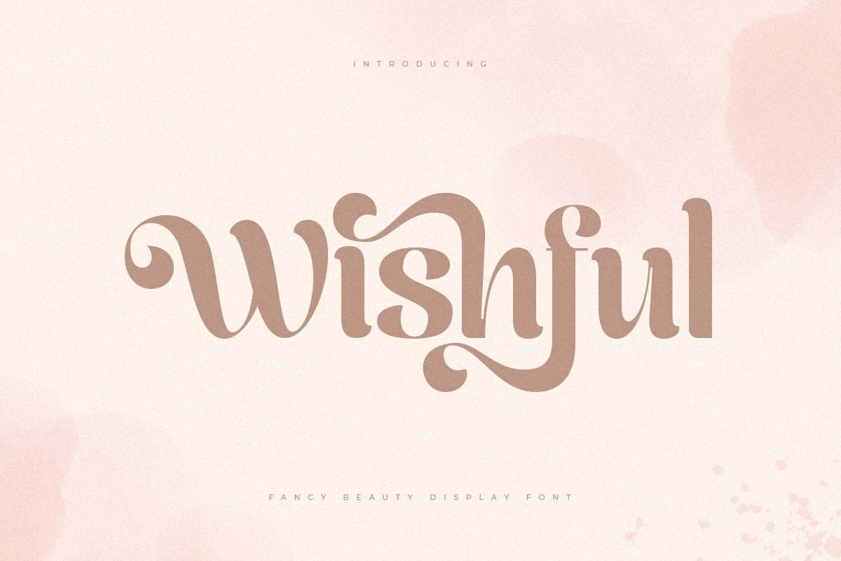 Wishfull - Fancy Beauty Display Font 1.jpg