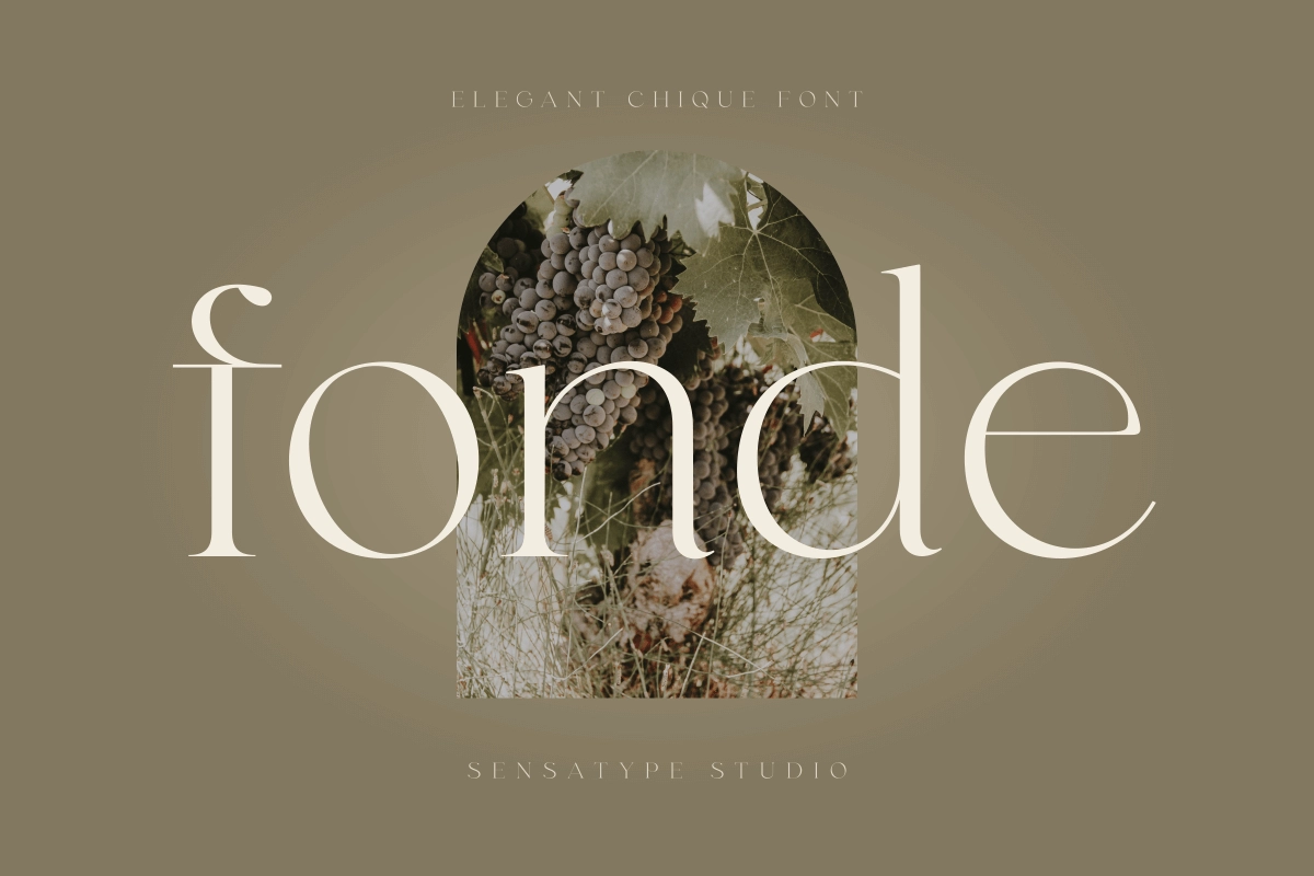 fonde_elegant_chique_font_1_jOq7qkU3Uf.webp