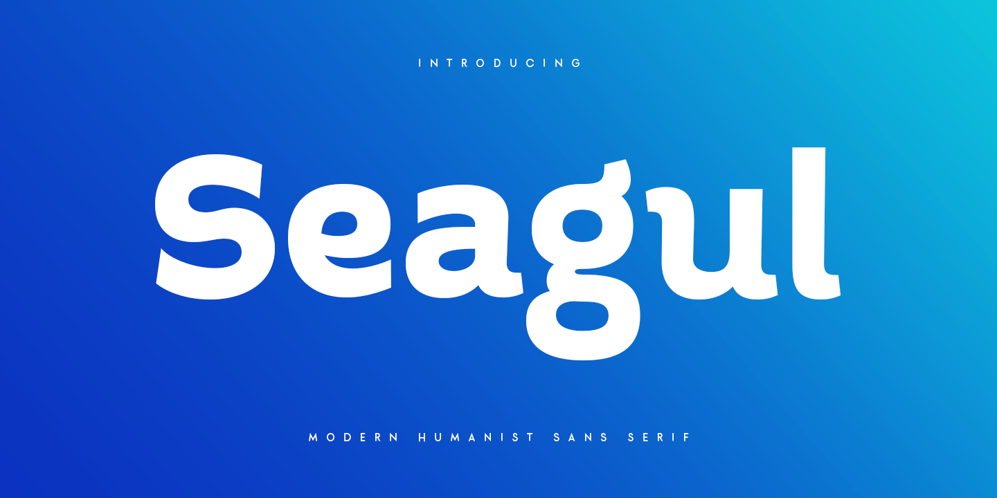 Seagul - Modern Humanist Sans Serif 16.png