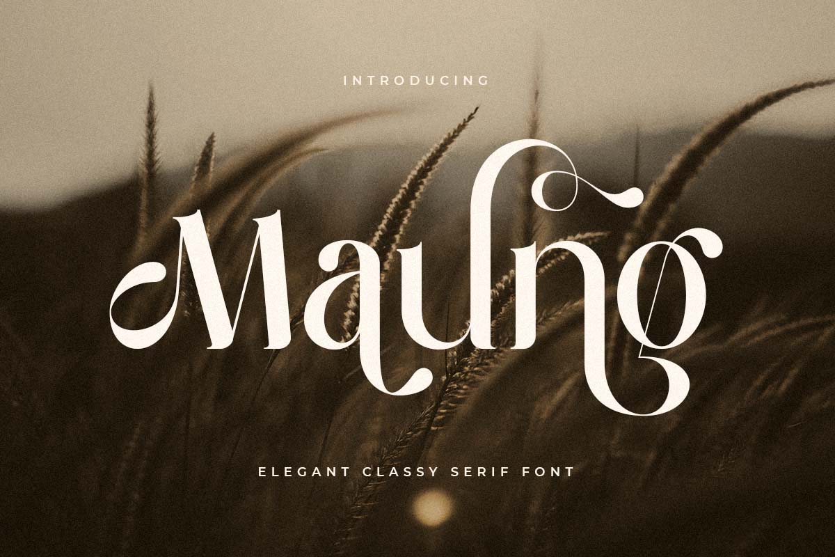 Maung - Elegant Classy Serif Font 1.jpg