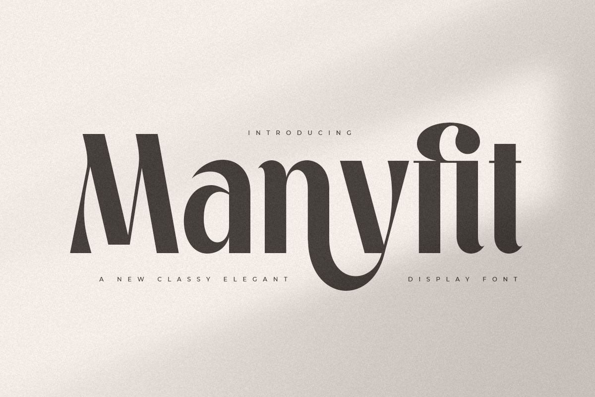 Manyfit - Classy Elegant Display Font 1.png