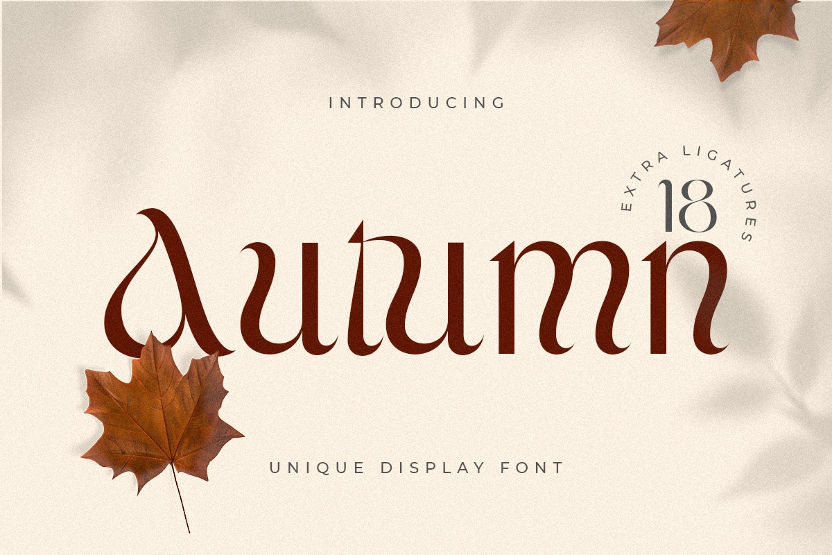 Autumn - Unique Display Font.webp