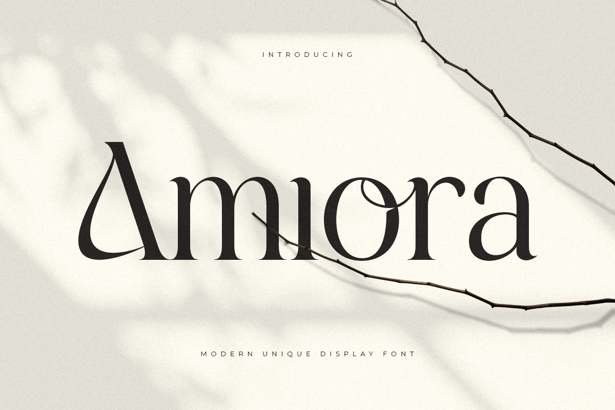 Amiora - Modern Unique Display Font 1.png