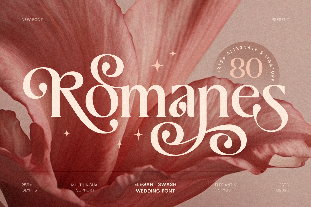 February 2026 Design Ideas, Holidays, and Font Inspiration