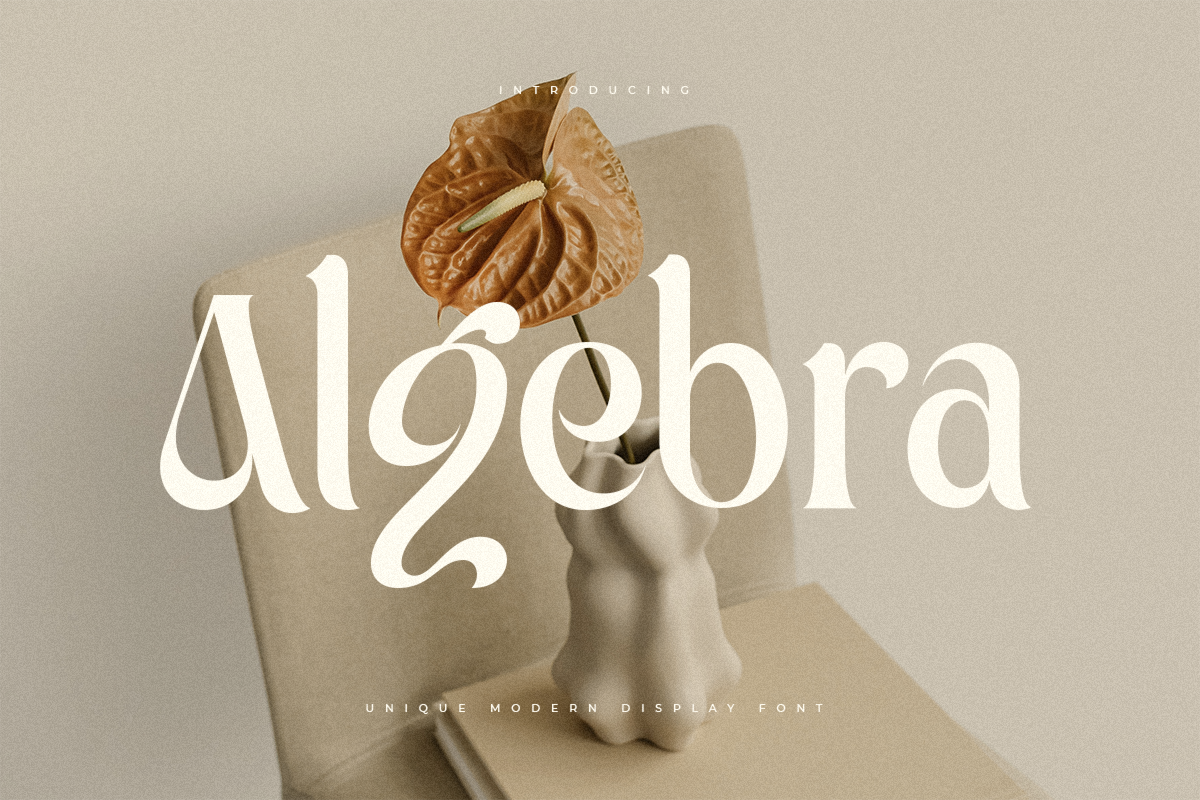 Algebra - Unique Modern Display Font 1.png