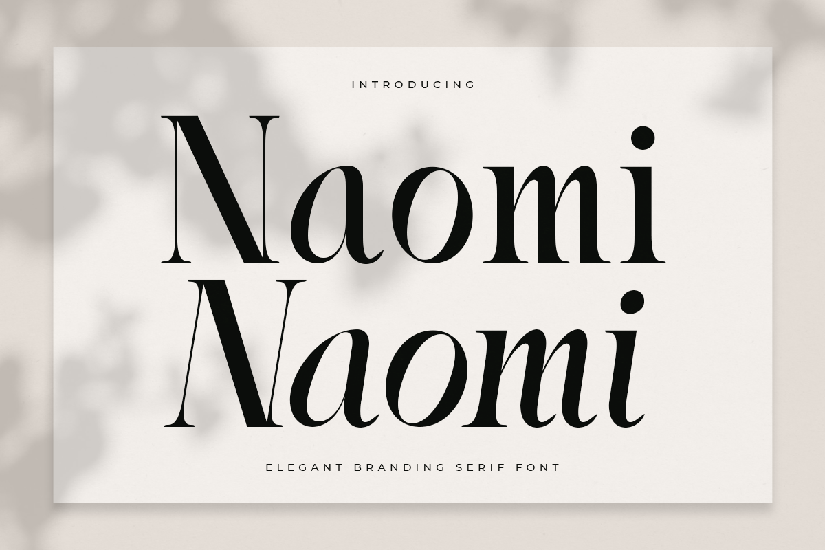 Naomi - Elegant Branding Serif Font 1.png