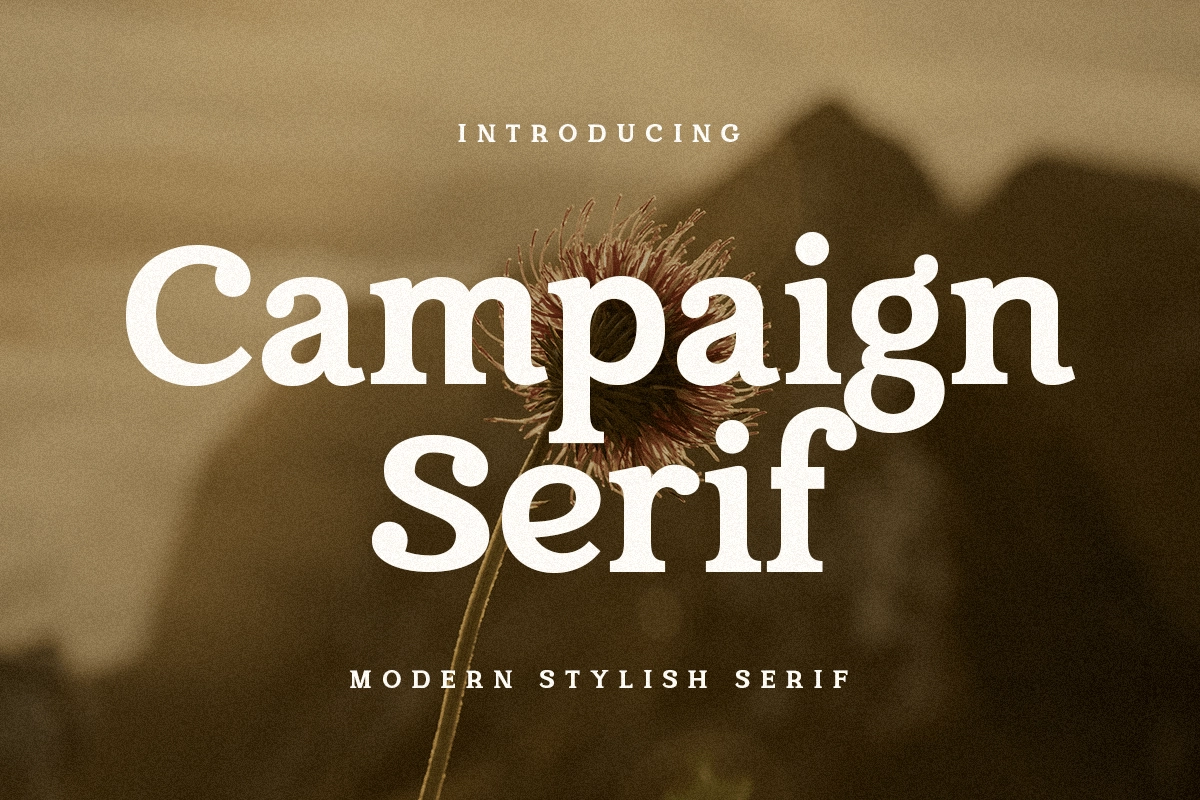 campaign_serif_modern_stylish_font_1_WYu6UFaySy.webp